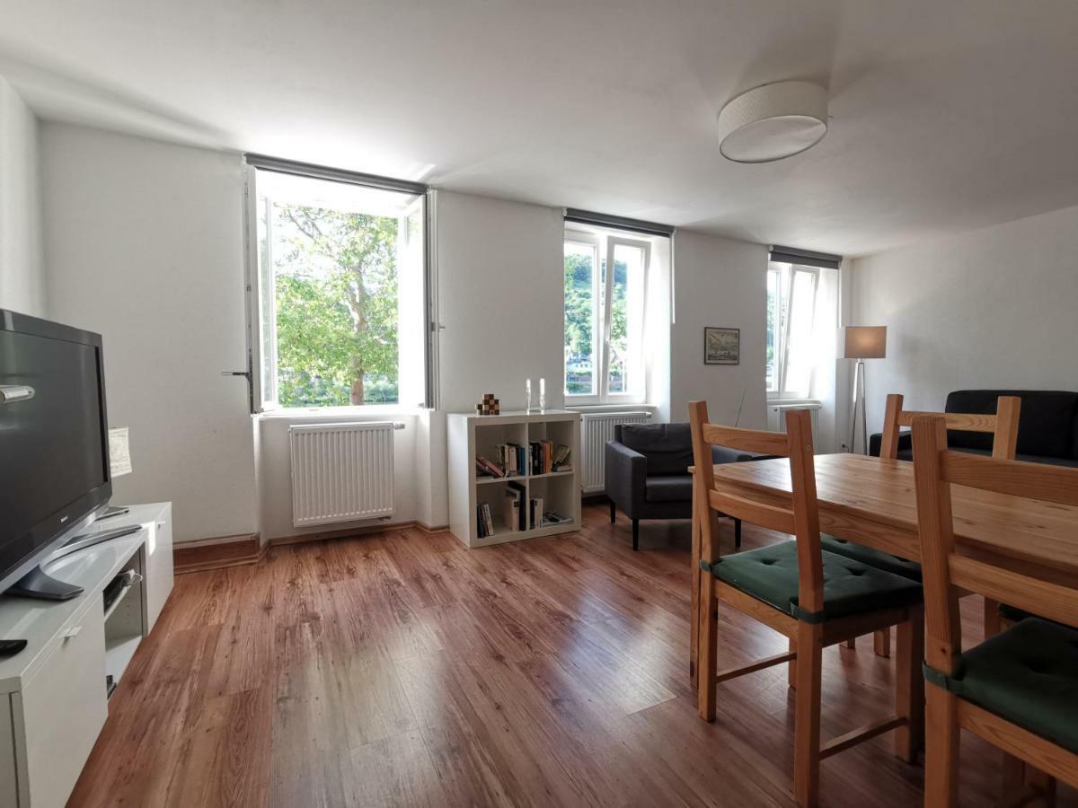 Ferienwohnungen Neckarblick - Heidelberg Altstadt Εξωτερικό φωτογραφία
